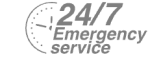 24/7 Emergency Service Pest Control in Foots Cray, DA14. Call Now! 020 8166 9746